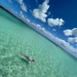 Qué Hacer en Punta Cana y Guía de Viaje